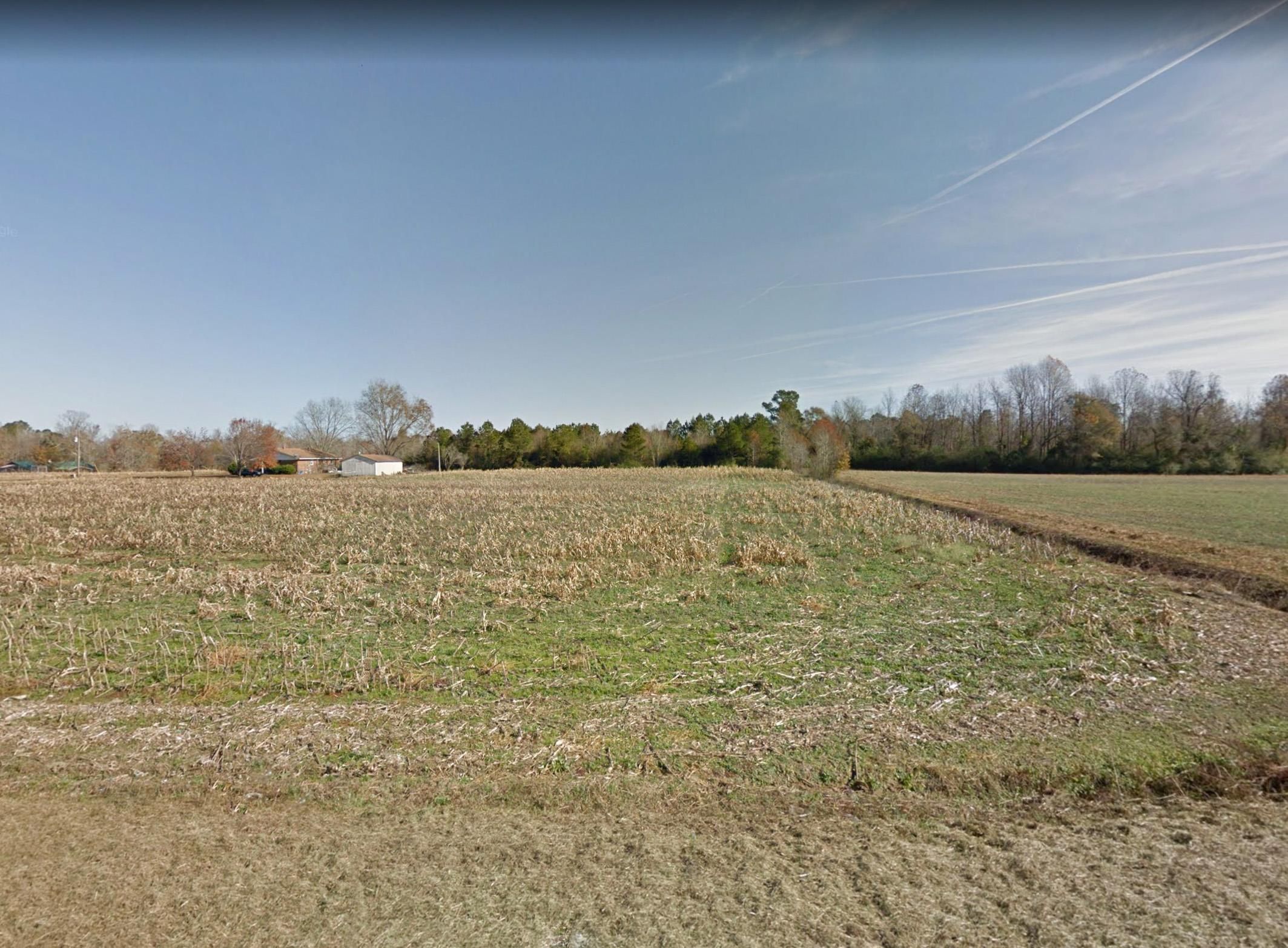 2 Acres, Penderlea Hwy, Willard, NC 28478 Land and Farm