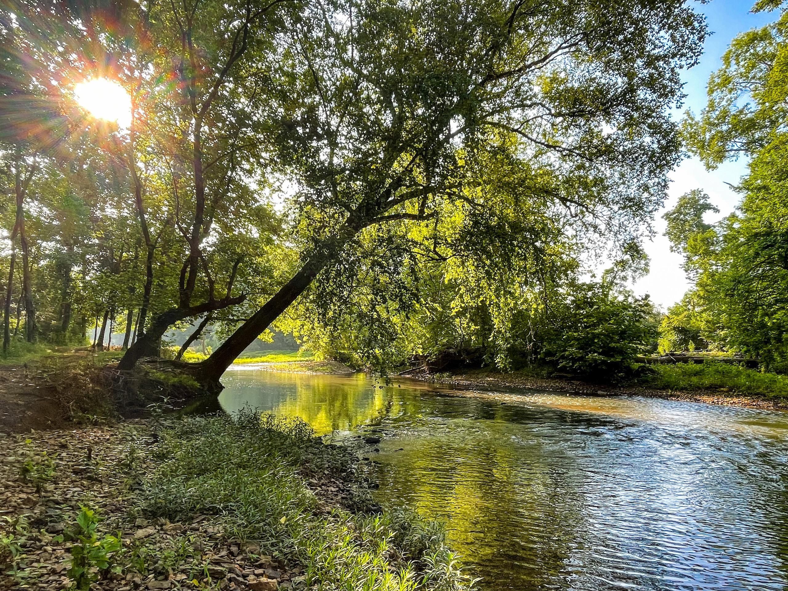 200 Acres, 14185 Road, Harvest, AL 35749 Land and Farm