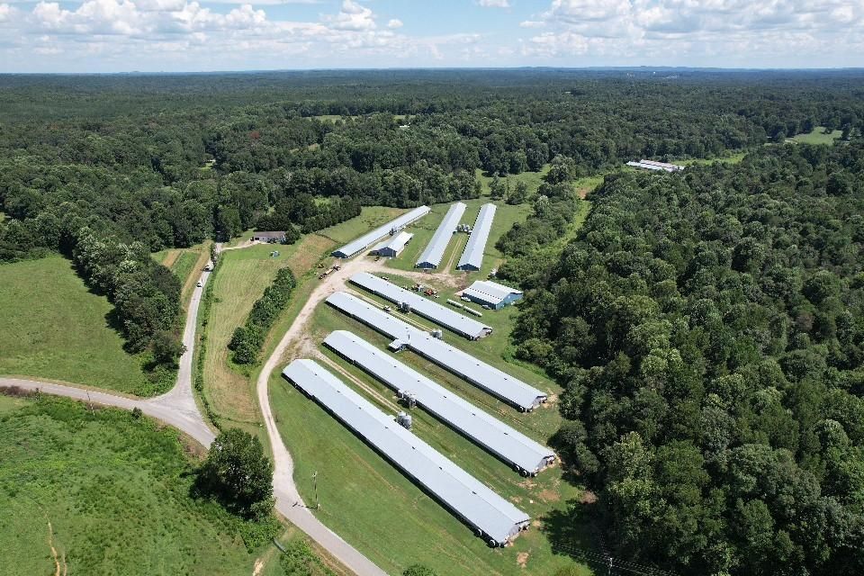 22 Acres, Little Mountain Road, Dawsonville, GA 30534 Land and Farm