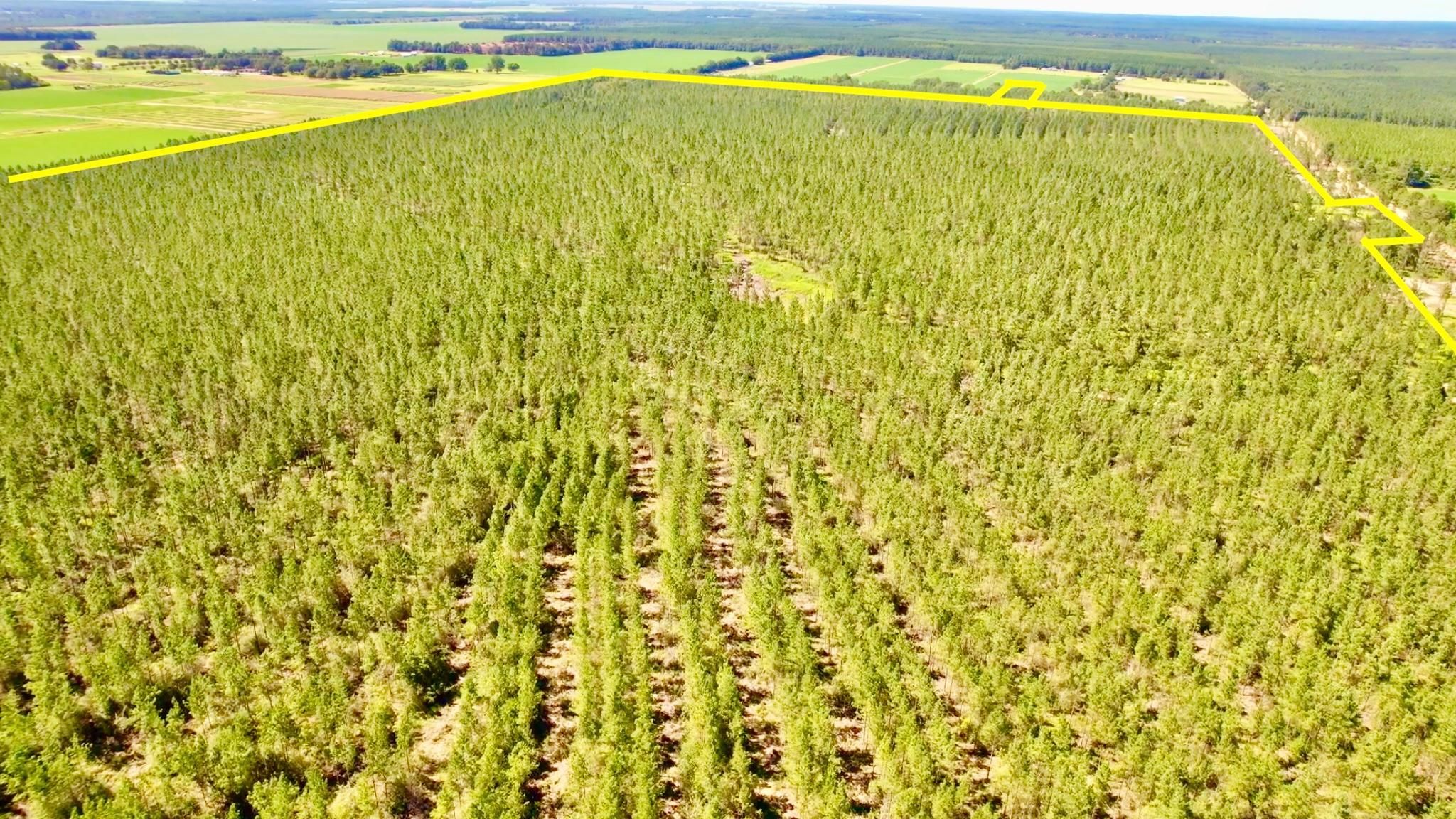207 Acres, Parcel 2, Hwy 182, Jay, FL 32565 Land and Farm