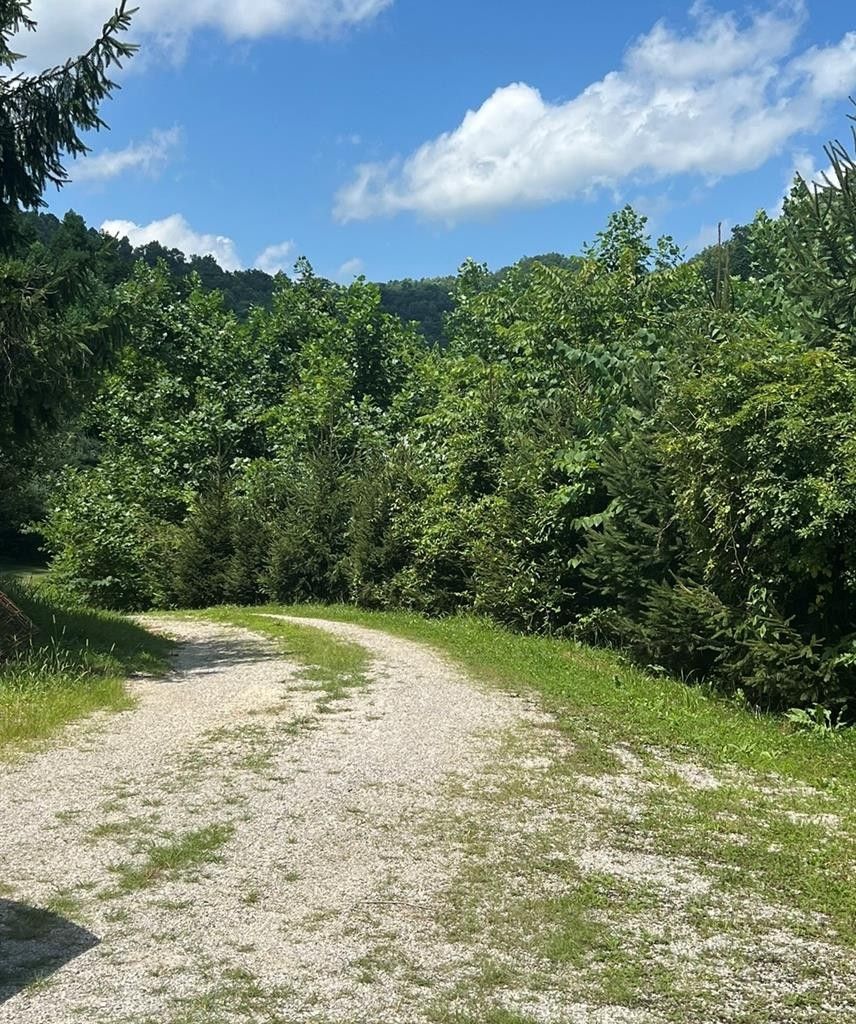 14 Acres, 333 Sylvester Branch Road, Emmalena, KY 41701 Land and Farm
