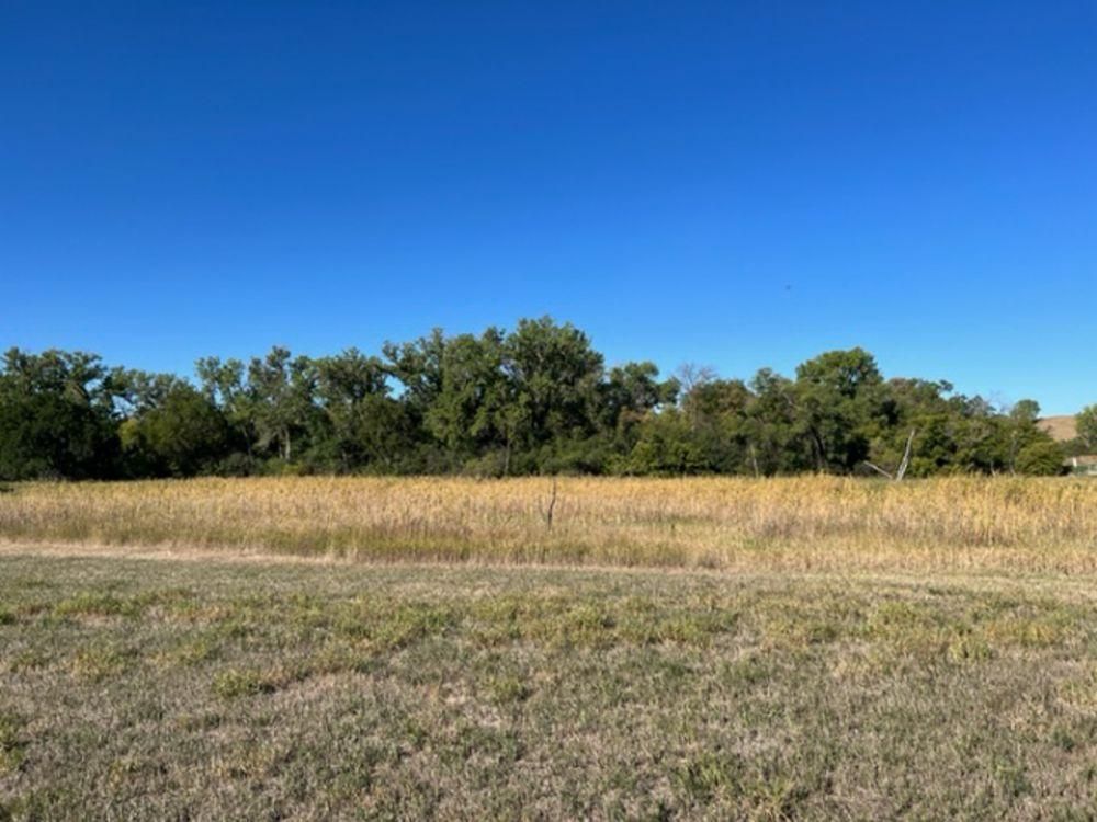 40 acres in Platte, SD, 57369 Land and Farm