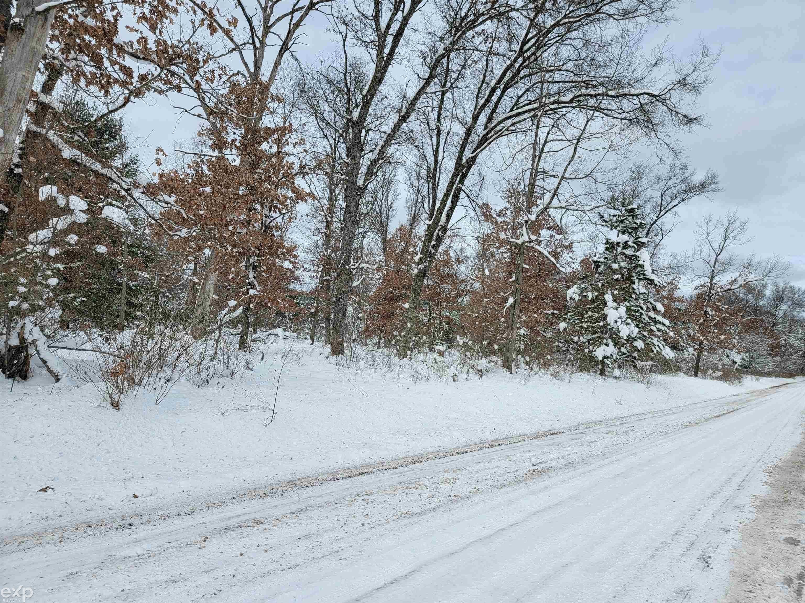 10 Acres, 2043 N Peacock Trail, Baldwin, MI 49304 Land and Farm