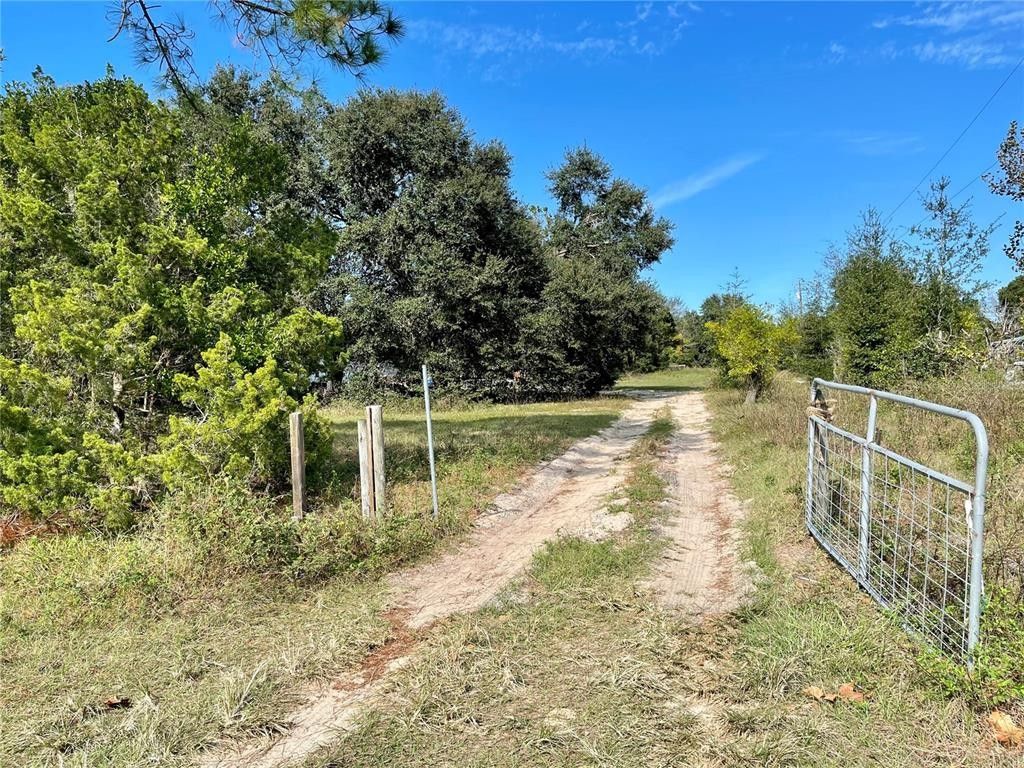 3 Acres, 29161 SE 180TH STREET ROAD, Altoona, FL 32702 Land and Farm