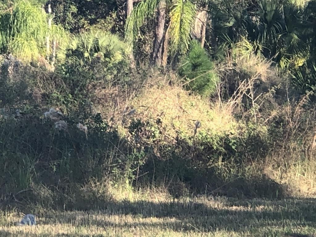 5.01 Acres, 8400 SWEETWATER TRAIL, Kissimmee, FL 34747 Land and Farm