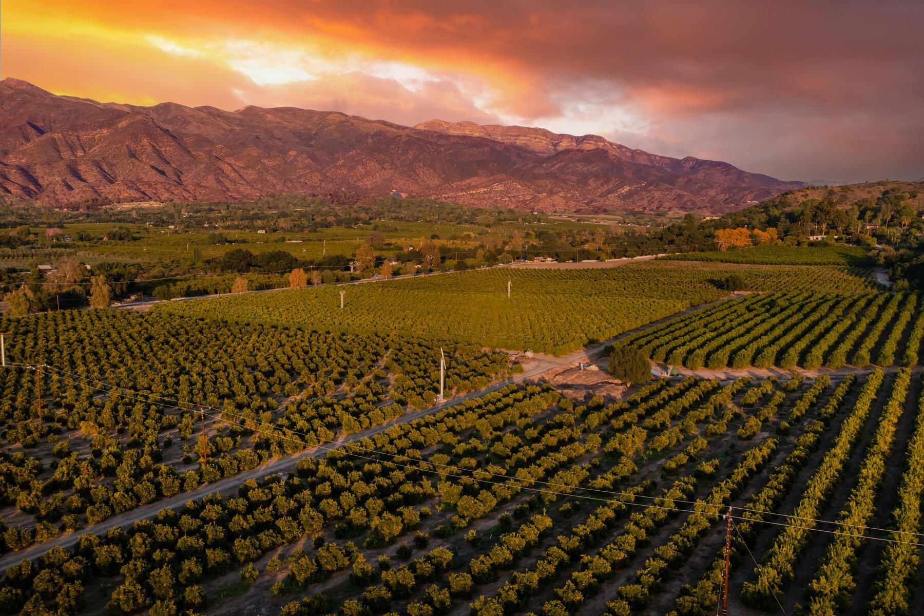 2728 East Ojai Avenue , Ojai, CA 93023 MLS V115828 Land and Farm