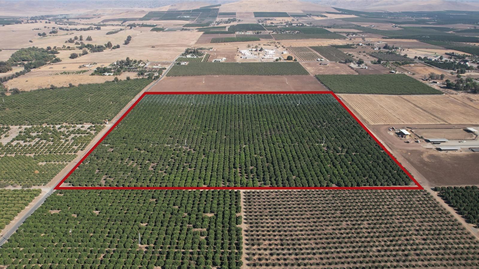 39.4 Acres, Terra Bella, CA 93270 Land and Farm