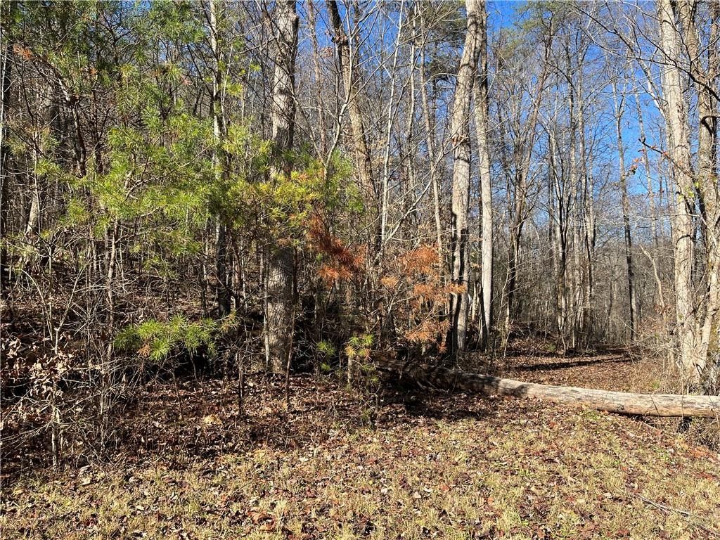 4.17 Acres, 22 A Bear Creek, Hiawassee, GA 30546 Land and Farm