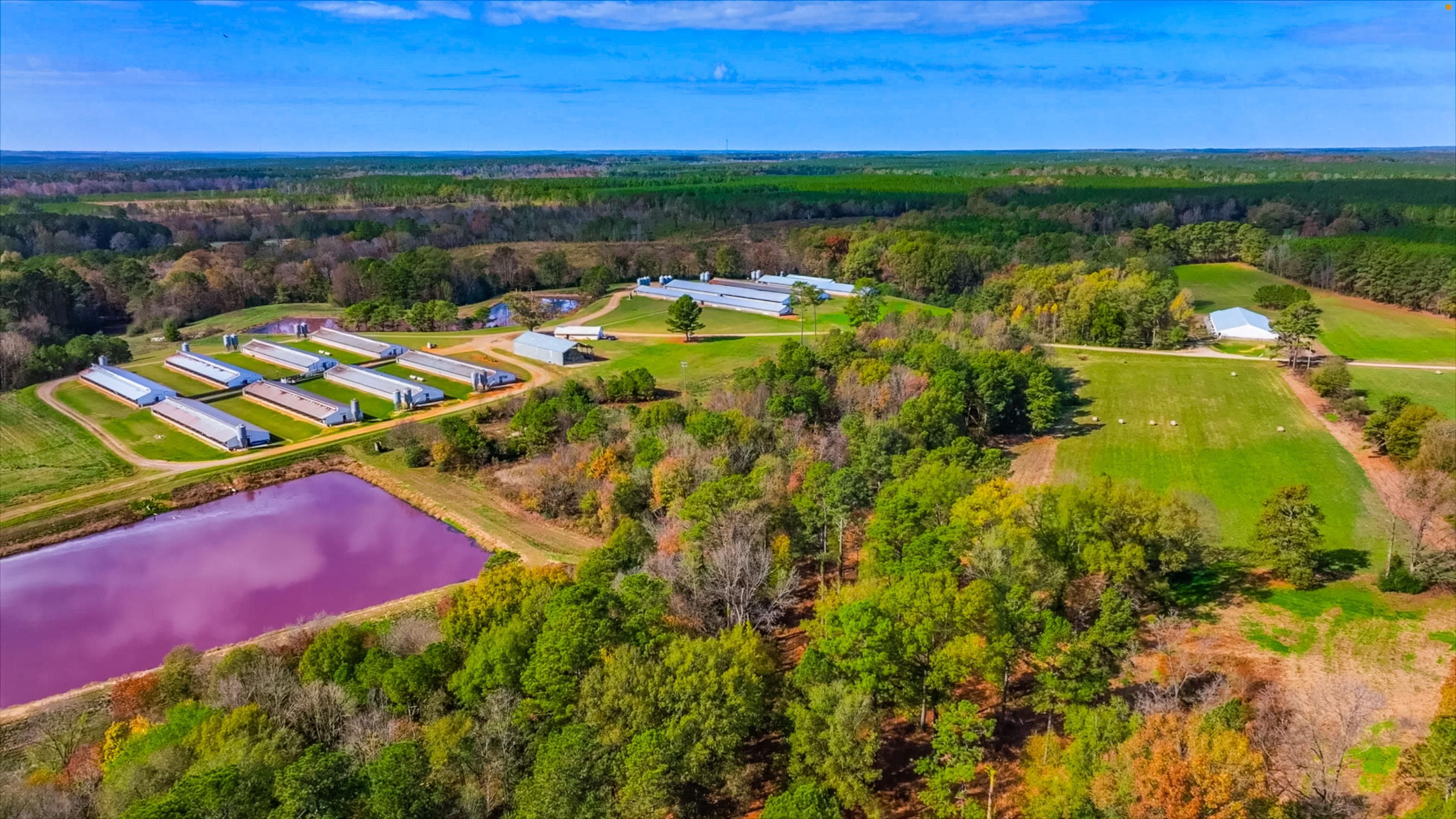 228.7 Acres, 1033 Bartholomew Road, Enfield, NC 27823 Land and Farm