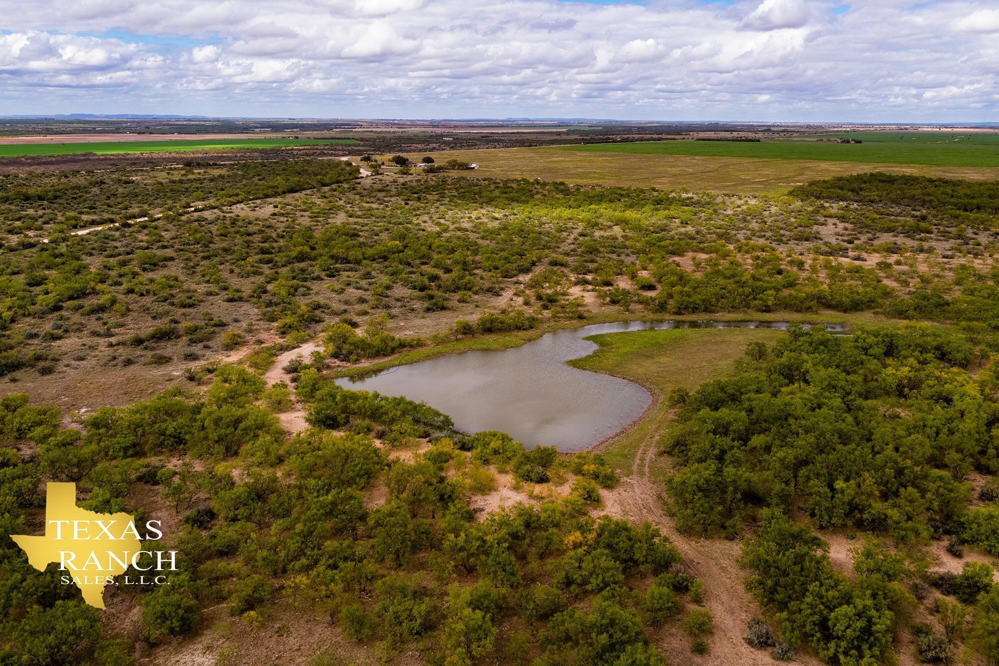277 acres in Ballinger, TX, 76821 Land and Farm