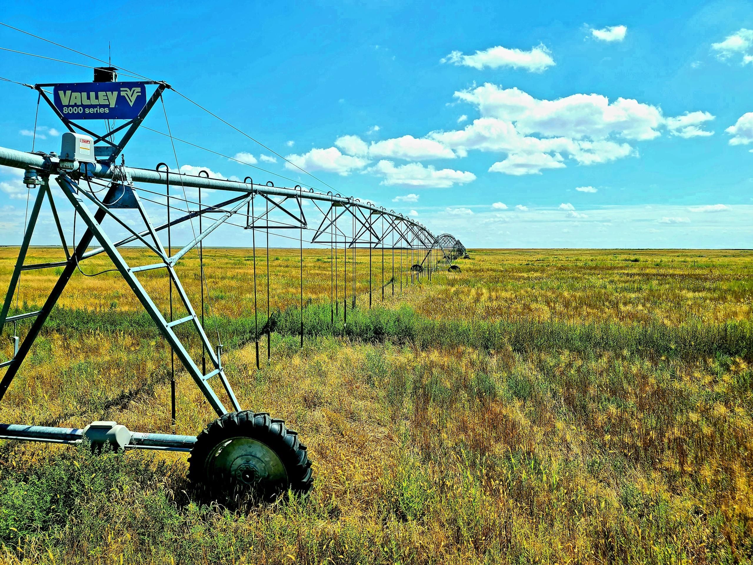 302.8 Acres, Wa wB, Sharon Springs, KS 67758 Land and Farm