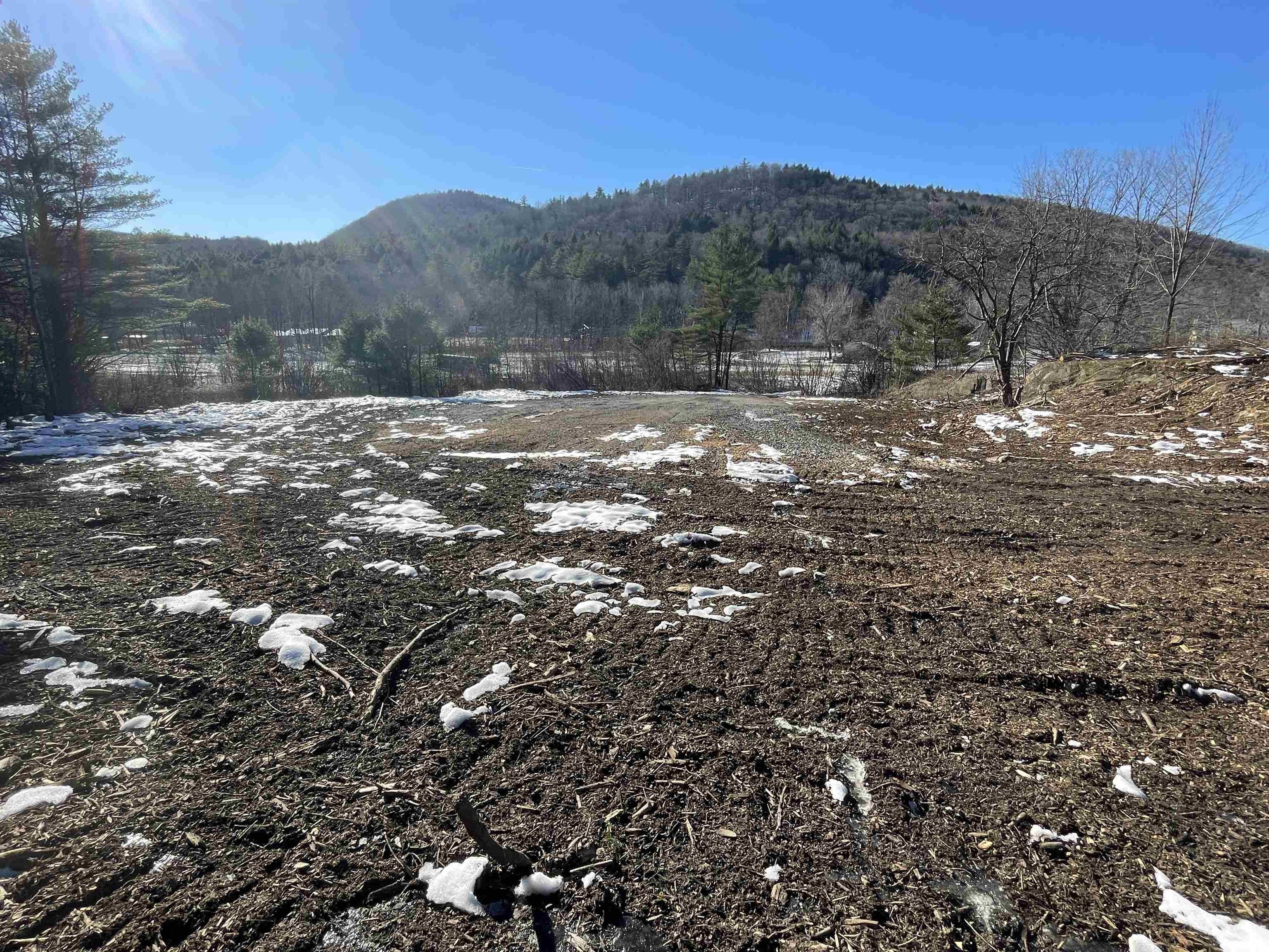 119.75 Acres, Lot 4 VT Route 103 North, Chester, VT 05143 Land and Farm