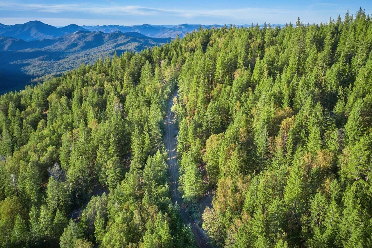 320 Acres, Beaver Creek Road, Jacksonville, OR 97530 Land and Farm