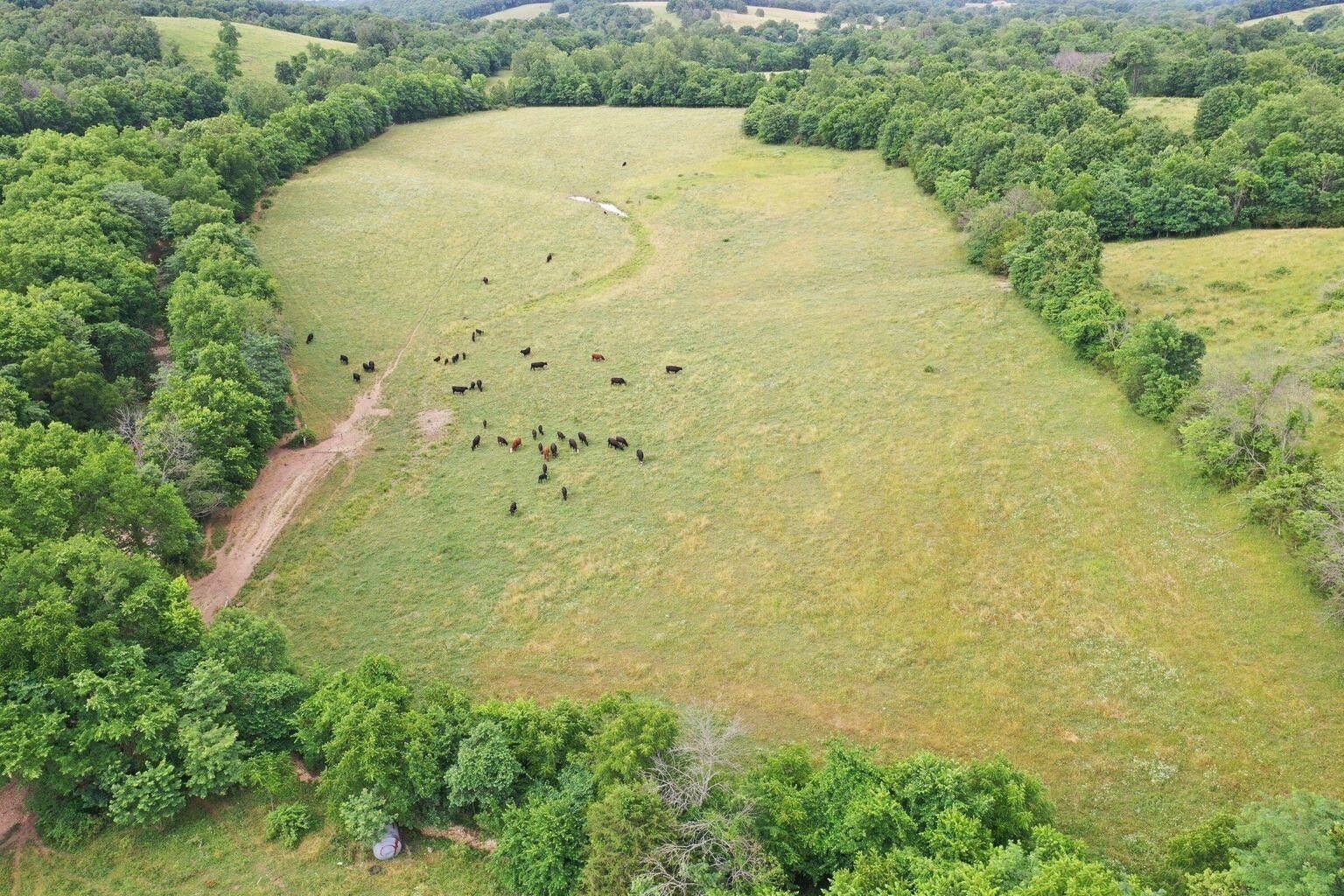 45 Acres, 00 Harmony Road, Seymour, MO 65746 Land and Farm