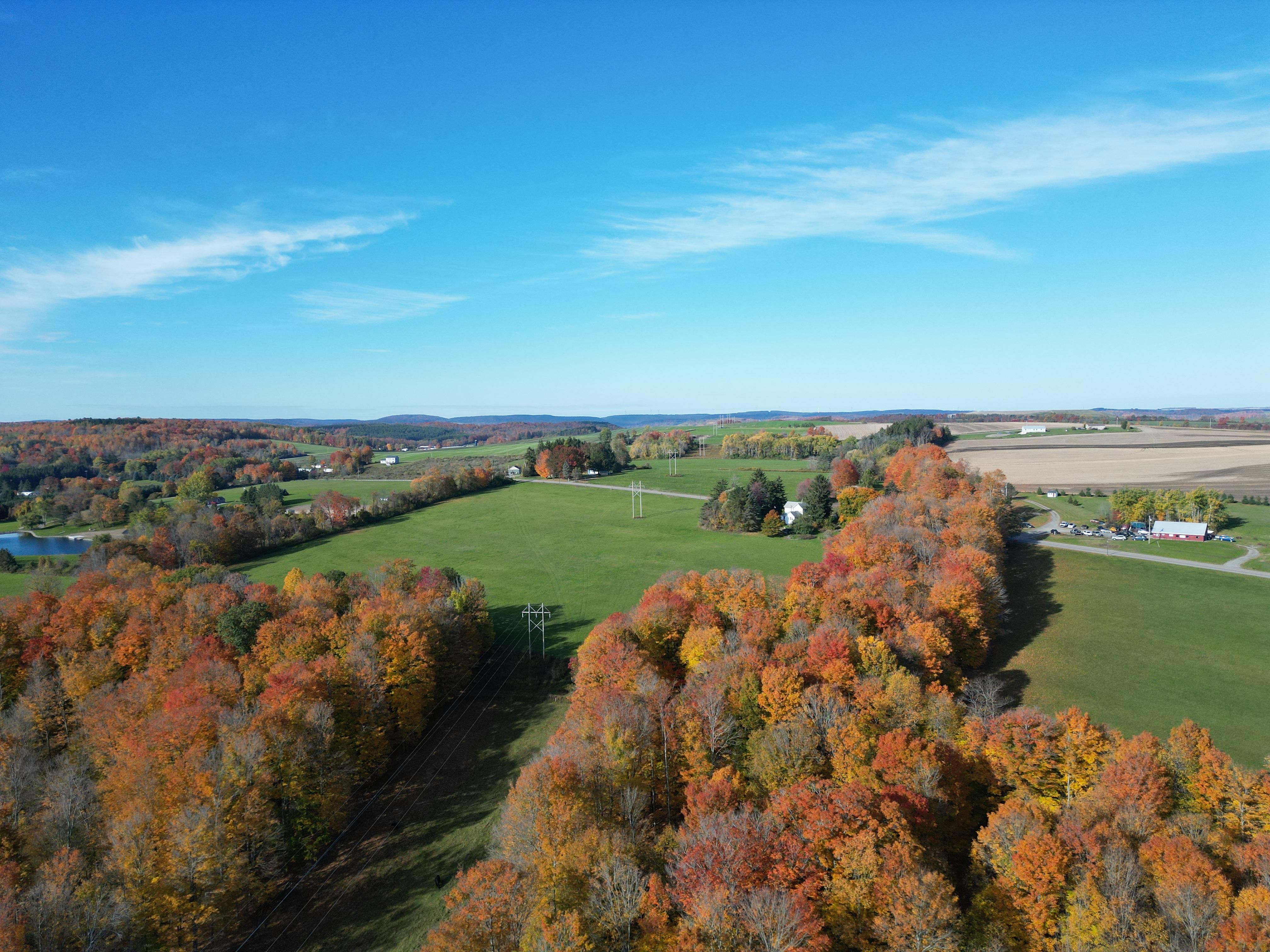 6.74 Acres, County Road 10, Bath, NY 14810 Land and Farm