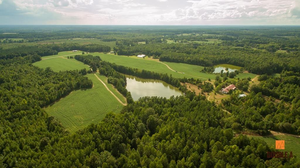 265 Acres, 7396 Hungarytown Road, Blackstone, VA 23824 Land and Farm