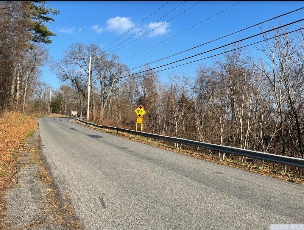 42.1 Acres, 0 LeedsAthens Rd, Catskill, NY 12414 Land and Farm