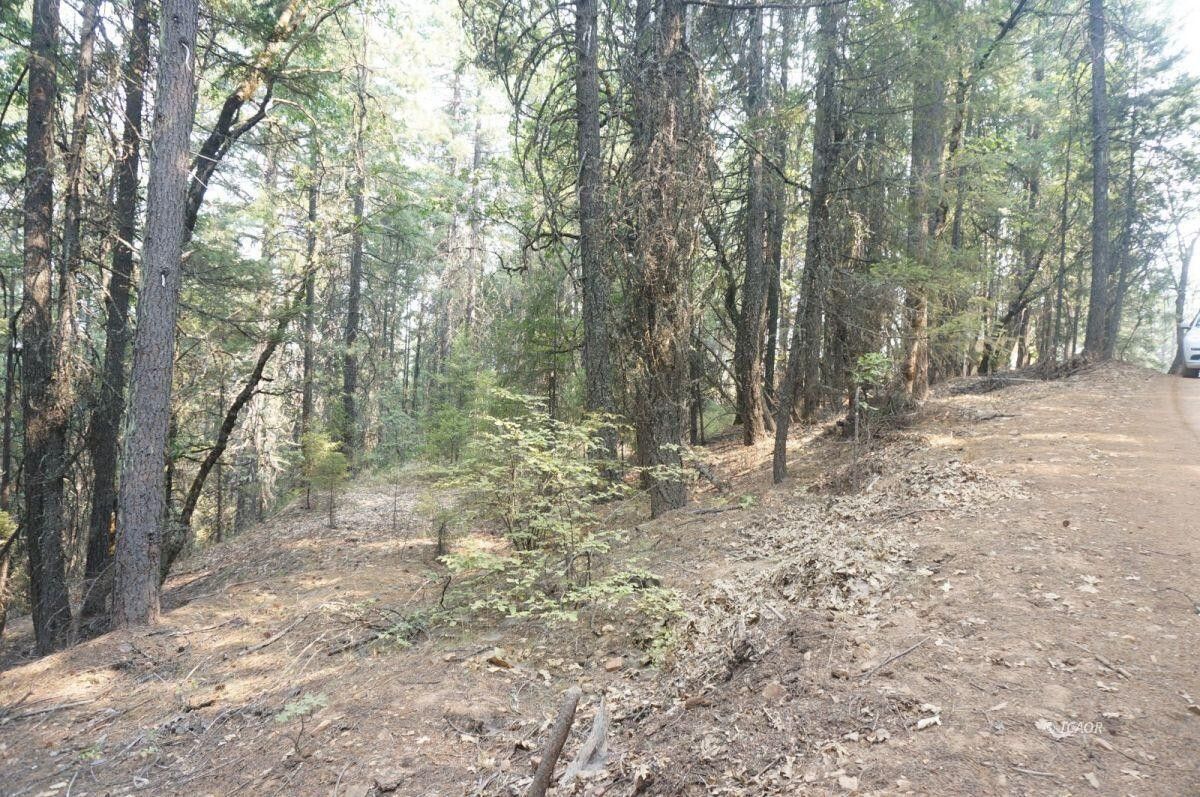 10 Acres, 1820 Moore Gulch Road, Trinity Center, CA 96091 Land and Farm