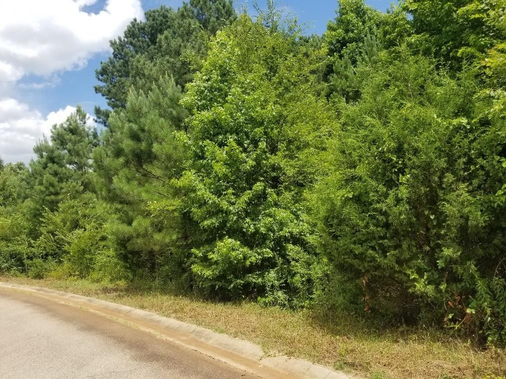 1 Acres, 105 PRESTWICK DRIVE, Lagrange, GA 30241 Land and Farm