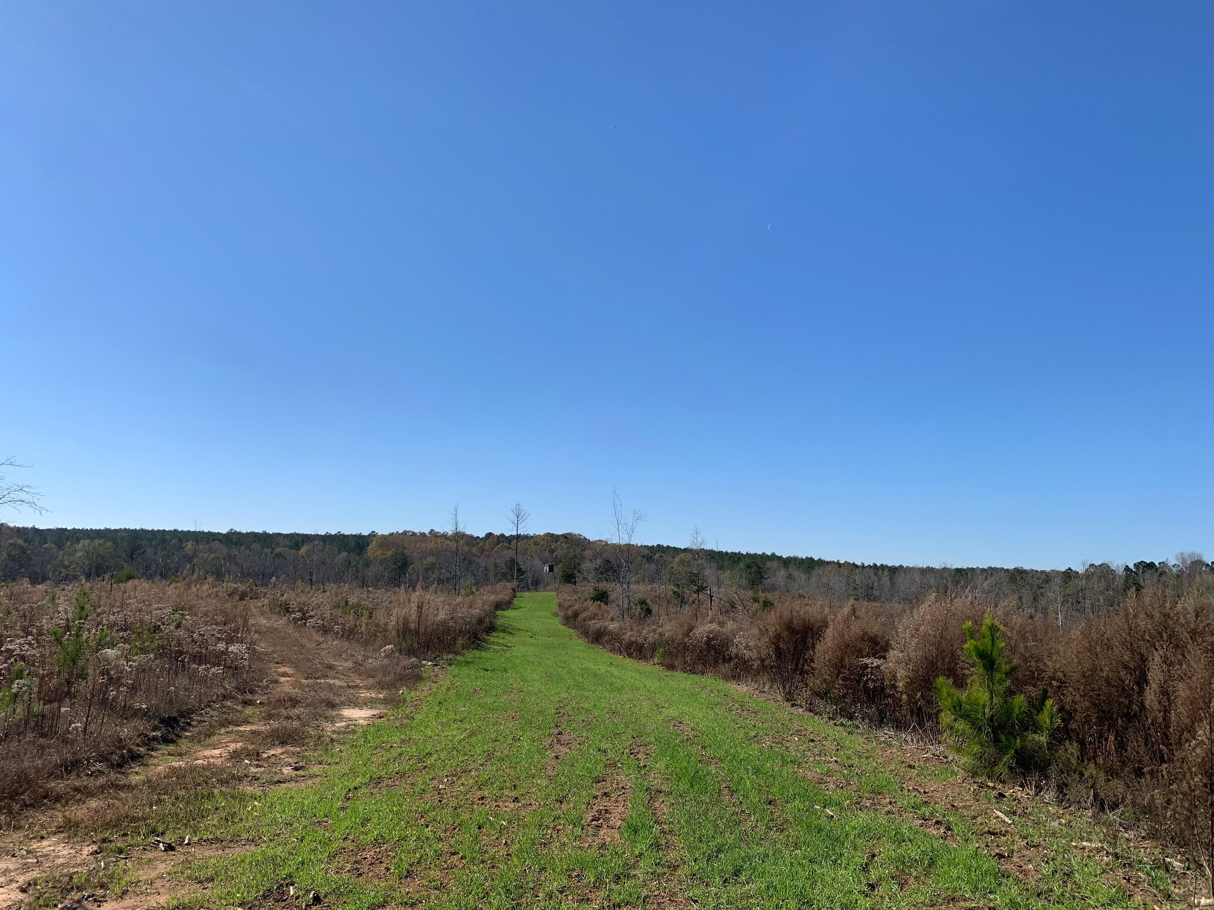 94 acres in McCormick, SC, 29835 Land and Farm