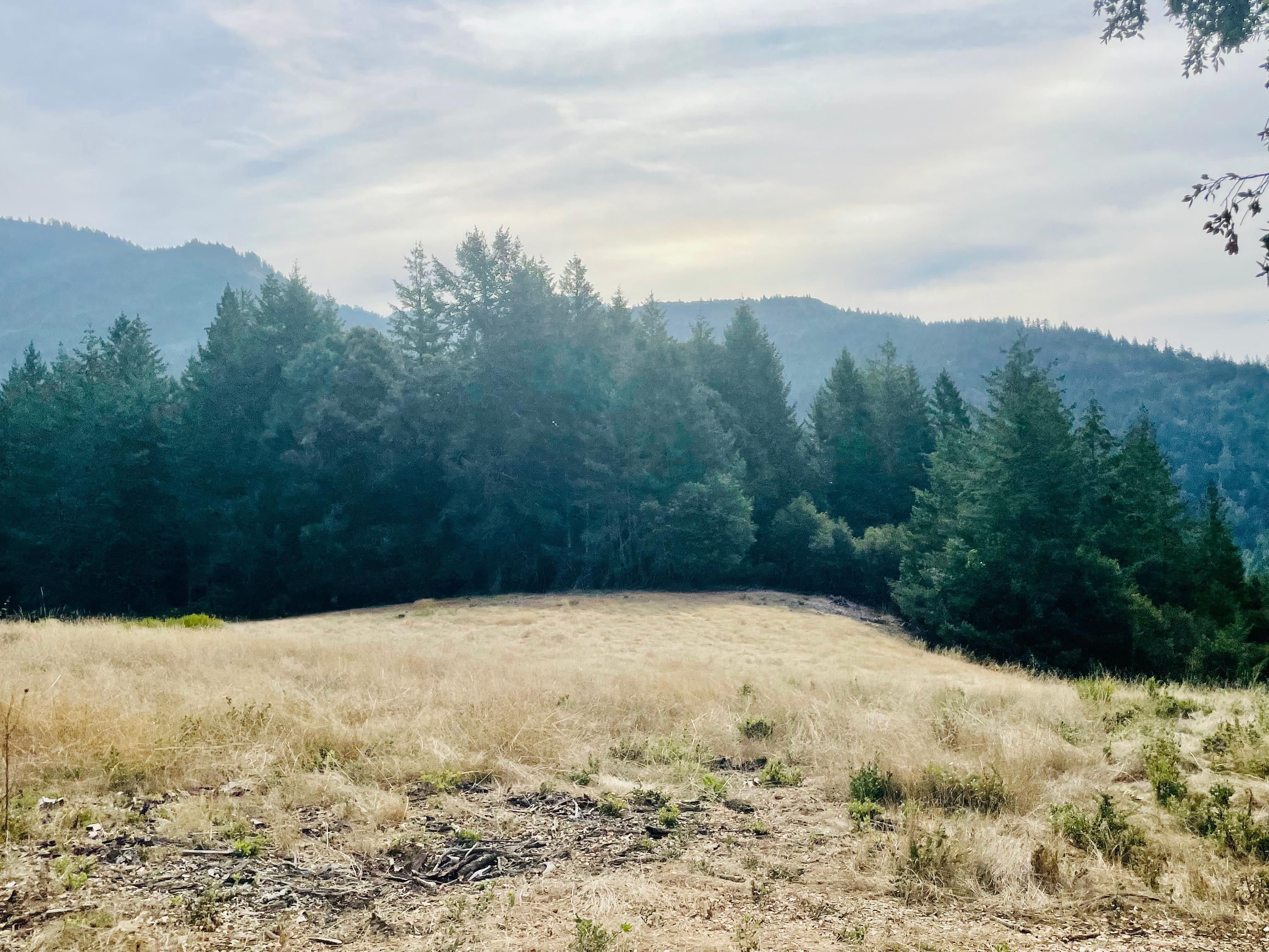 629 Acres, 71300 Dr, Piercy, CA 95587 Land and Farm