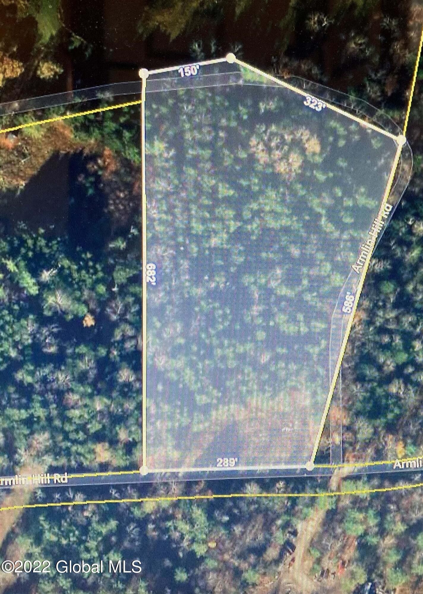 5.7 Acres, 253 Armlin Hill Road, Middleburgh, NY 12122 Land and Farm