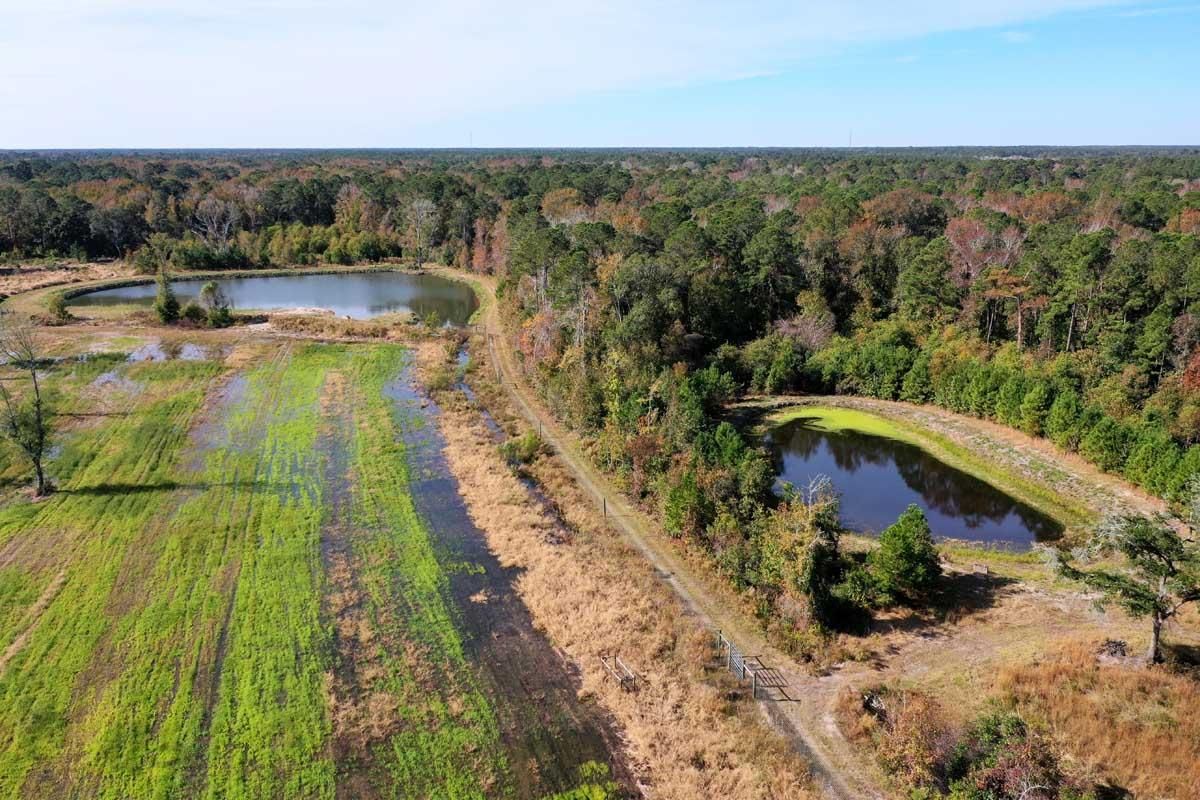 Dupre Road, Mcclellanville, SC 29458 MLS 22029699 Land and Farm