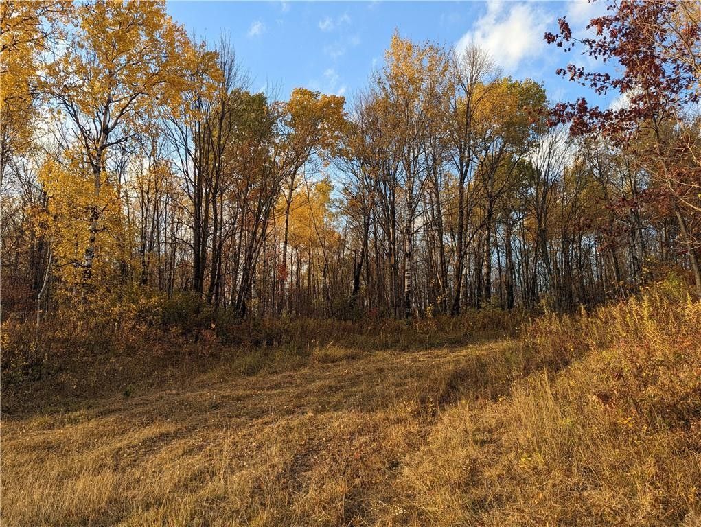 160 Acres, 00 Town Line Rd., Ojibwa, WI 54862 Land and Farm