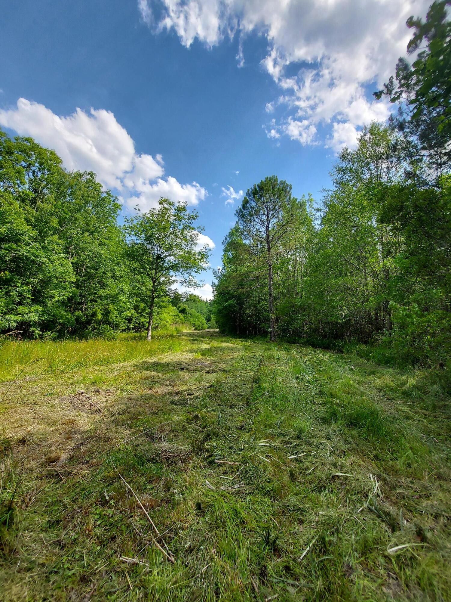 9.2 Acres, 2973 Rhode Drive, Cottageville, SC 29435 Land and Farm