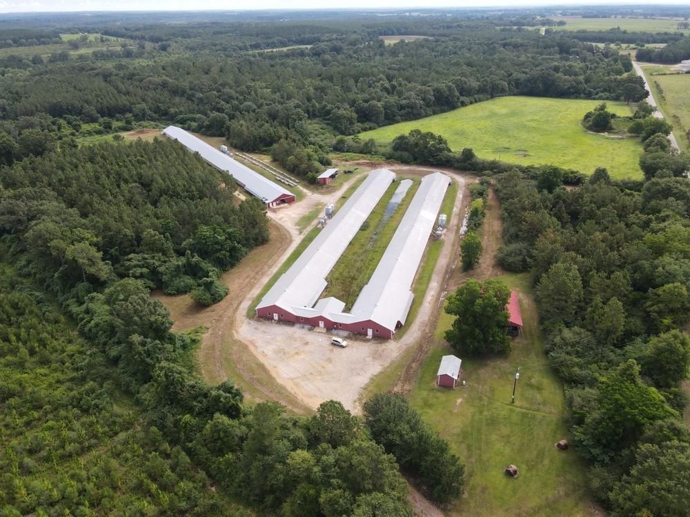 32 Acres, 00 Friendship Rd, Opp, AL 36467 Land and Farm