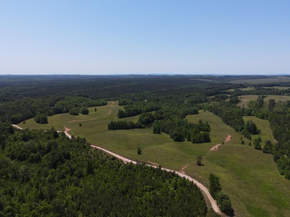 Wilkerson Rd, Wadley, AL 36276 Land and Farm