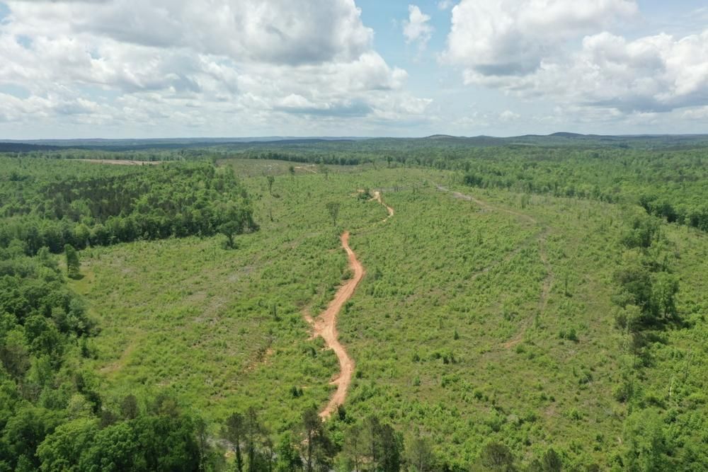 County rd 231, Lineville, AL 36351 Land and Farm