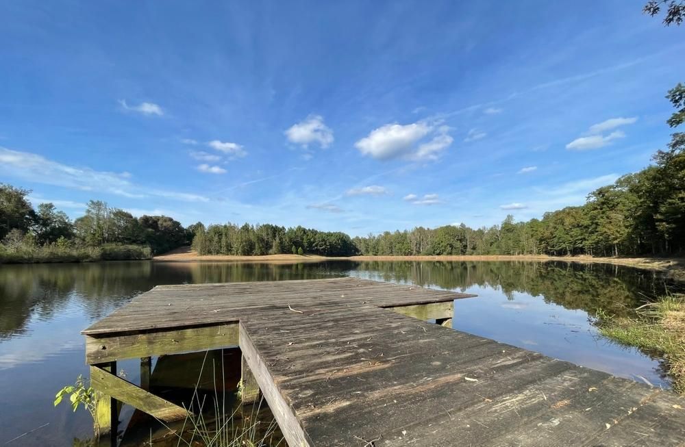 142 Acres, Dairy Barn Rd, Ashland, AL 36251 Land and Farm