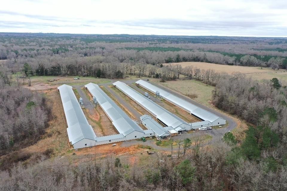 391 Dean Road, Weir, MS 39772 Land and Farm