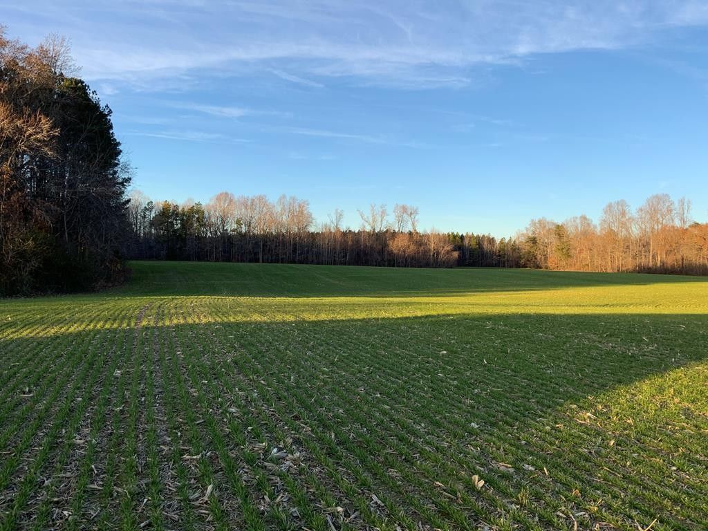 61.54 Acres, 0 Regina Road, Lancaster, VA 22503 Land and Farm