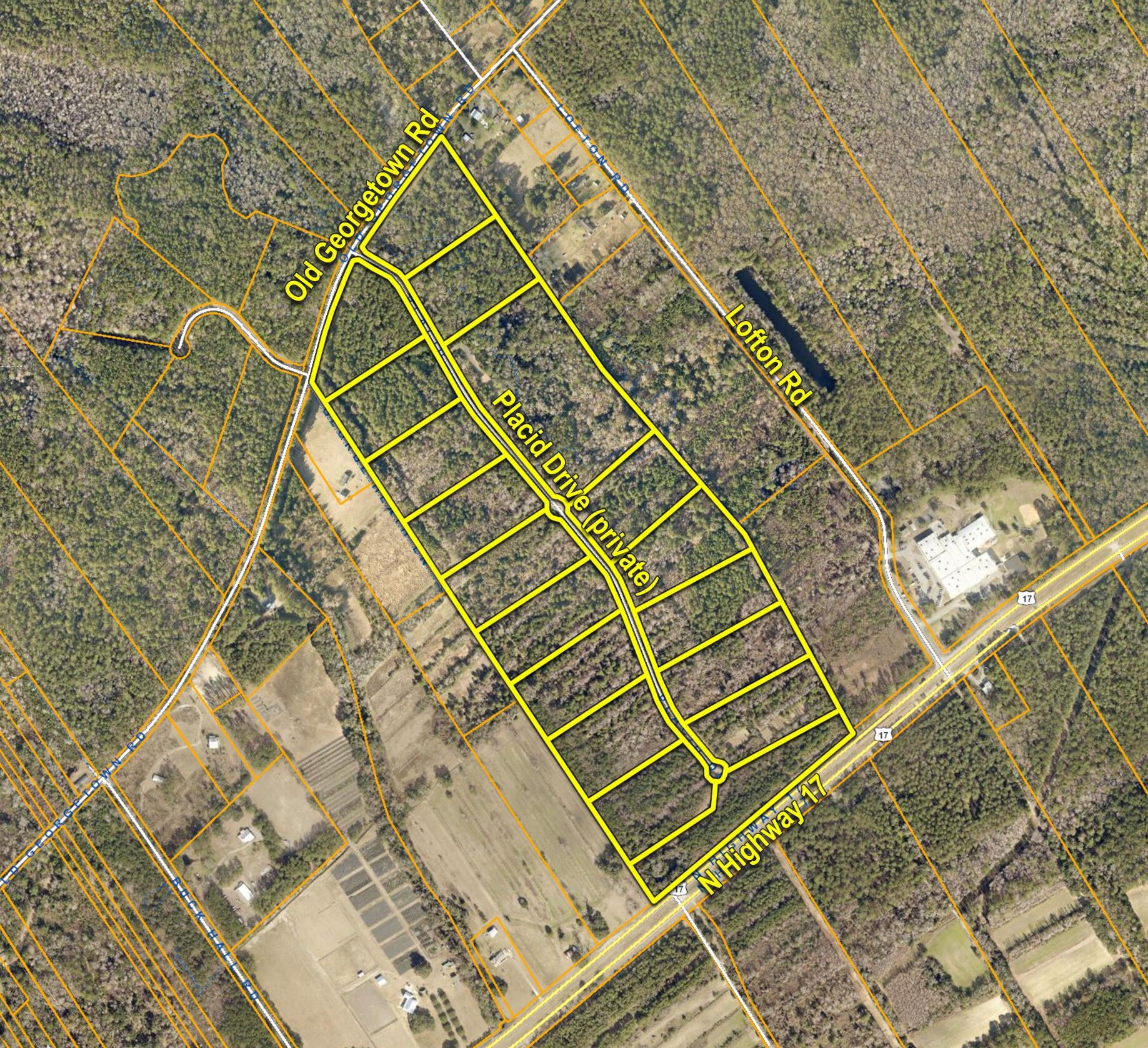 100.35 Acres, 0 Placid Drive, Mcclellanville, SC 29458 Land and Farm