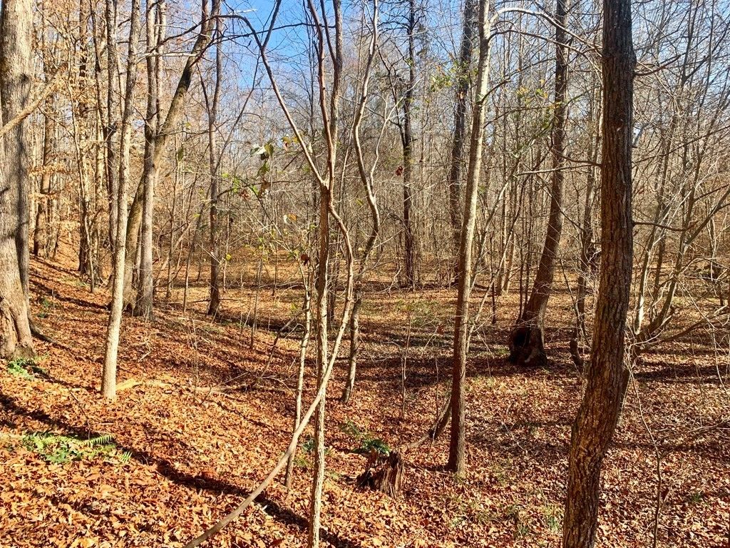 87 Acres, 0 Old Calhoun Falls Rd, Abbeville, SC 29620 Land and Farm