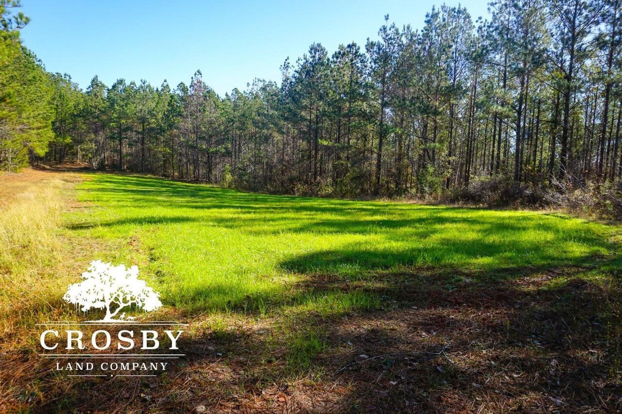 322 Acres, Clinton, SC 29325 Land and Farm