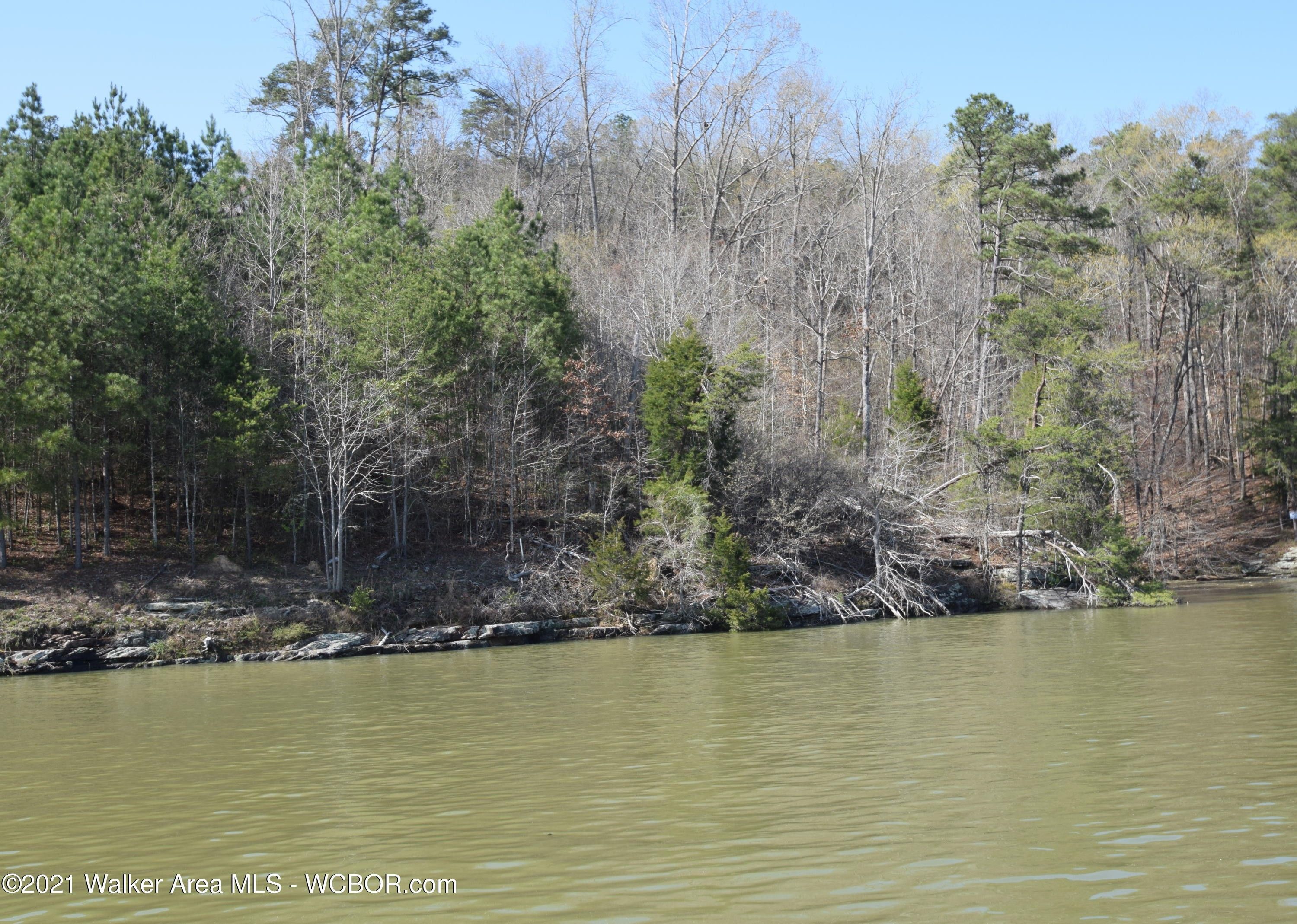 1.87 Acres, LOT 36 EDGEWATER ESTATES, Crane Hill, AL 35053 Land and Farm