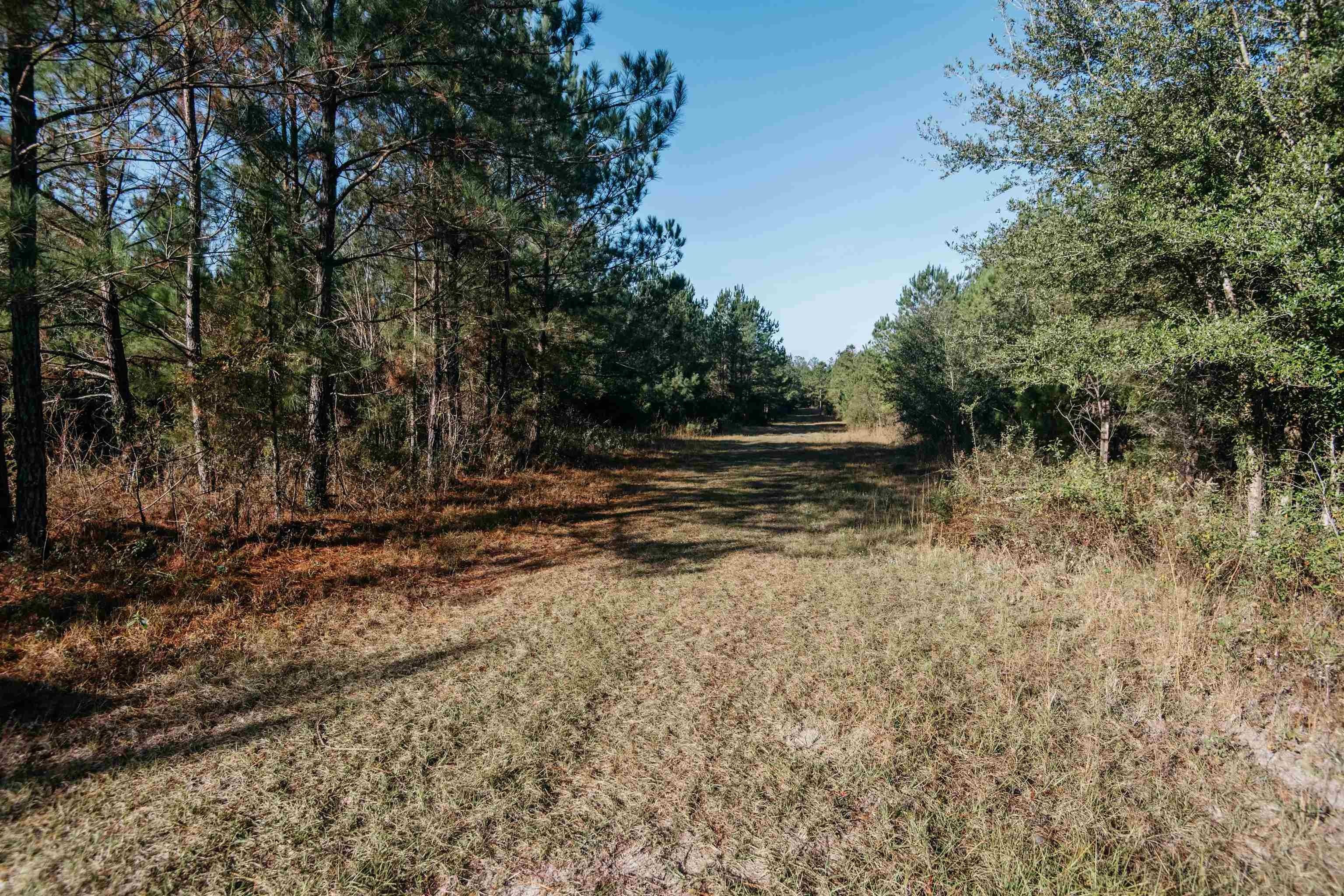 135 Acres, 0 Wadesboro Road, Tallahassee, FL 32317 Land and Farm