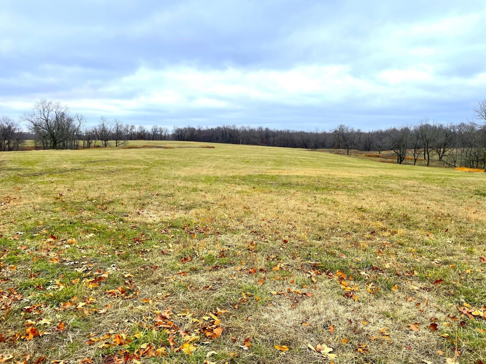 120 Acres, 000 Bailey Ln Pineville, MO 64856, Pineville, MO 64856
