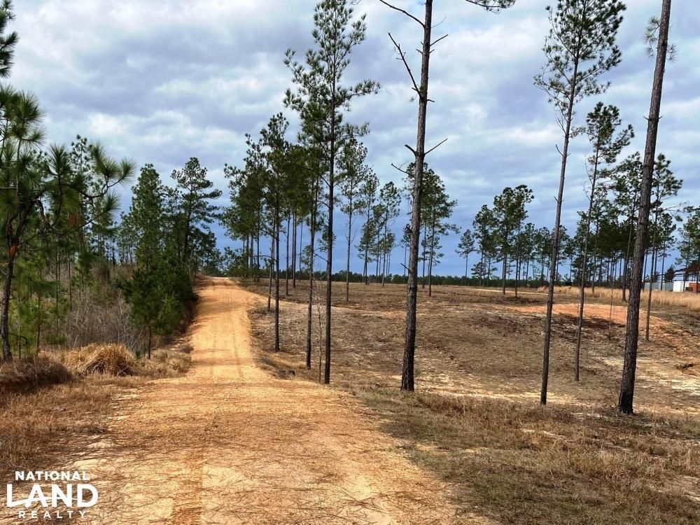 271 Acres, 546 Caney Church Road, Lumberton, MS 39455 Land and Farm