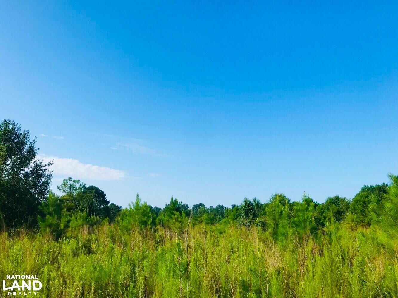 5.86 Acres, 892 Baughs Cross Road, Lagrange, GA 30240 Land and Farm