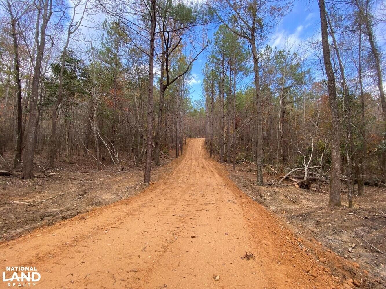 37 Acres, 0 Springer Road, Elrod, AL 35458 Land and Farm