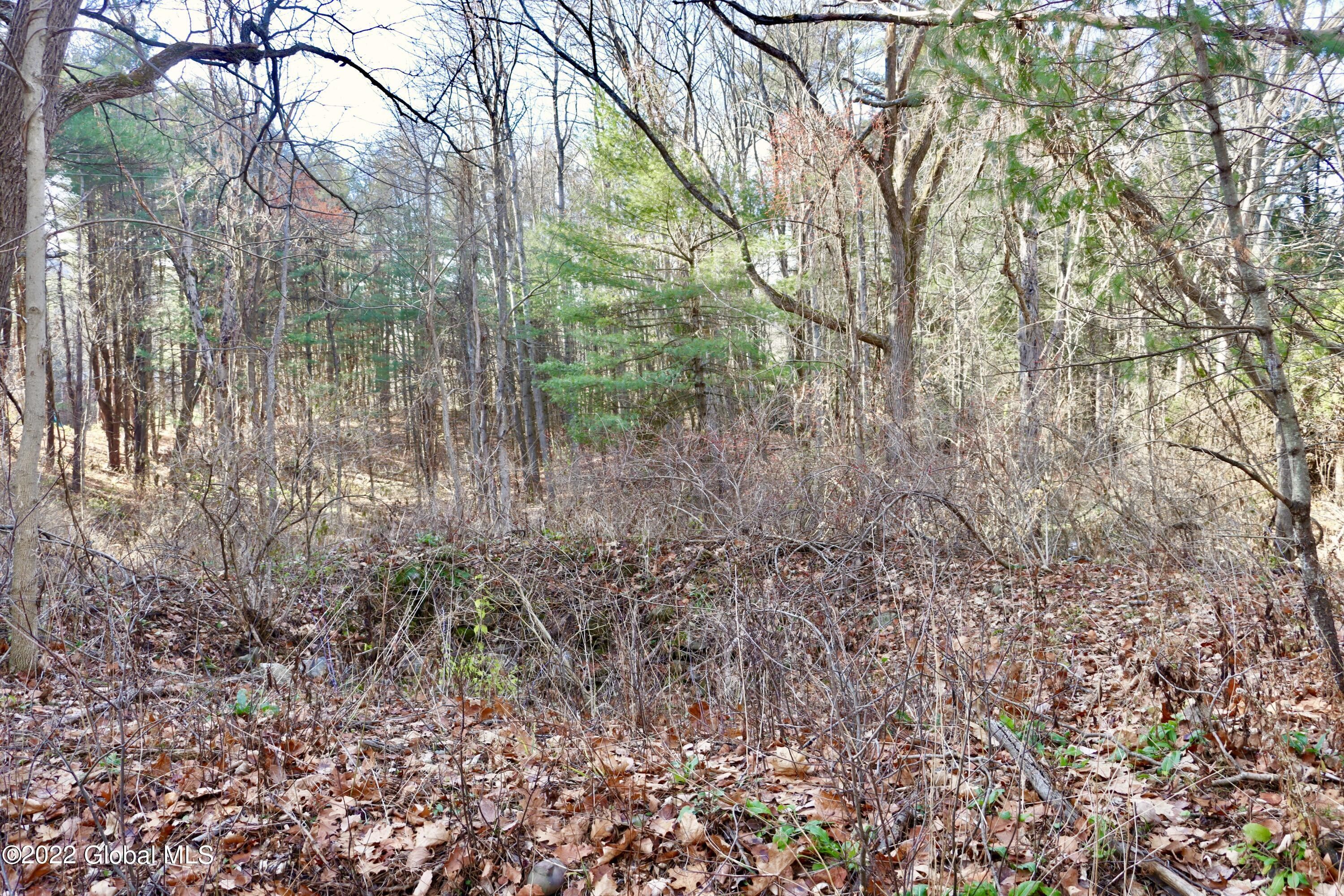 1.5 Acres, 00 Meadowdale Road, Altamont, NY 12009 Land and Farm