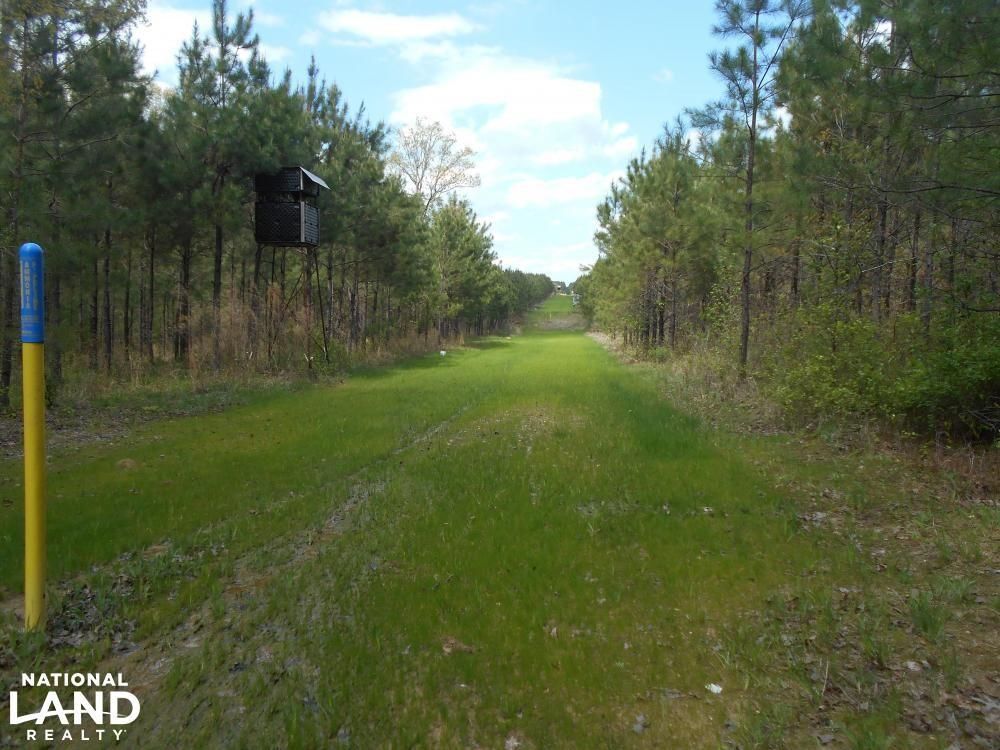124 Acres, 0 Princeton Pike Rd Pine Bluff AR., Pine Bluff, AR 71601
