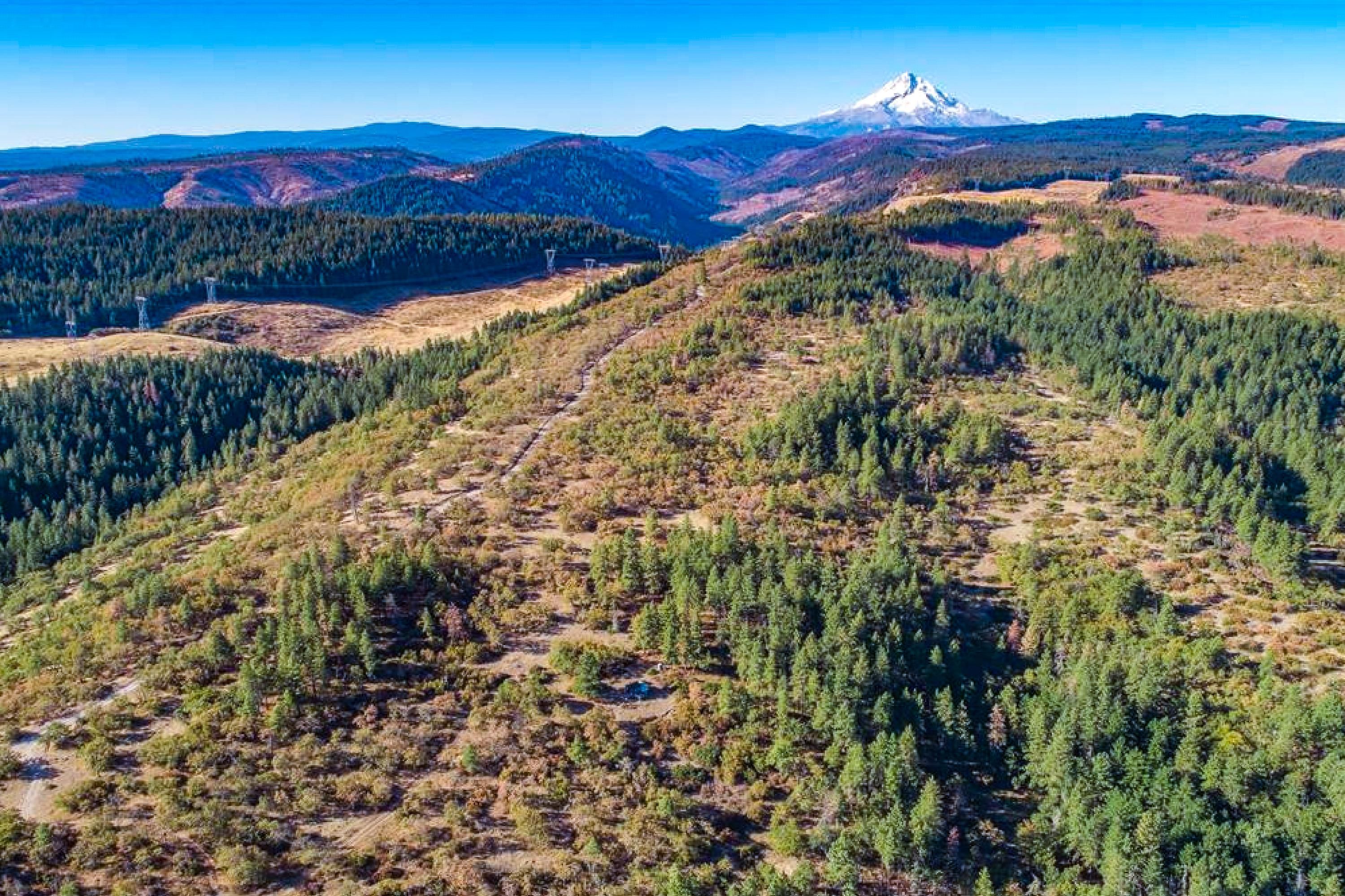 19.66 Acres, Ketchum Rd, Mosier, OR 97040 Land and Farm