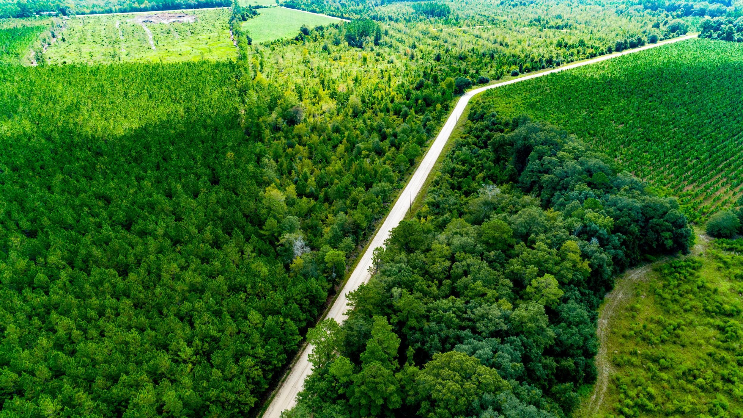 3.5 acres in Surrency, GA, 31563 Land and Farm