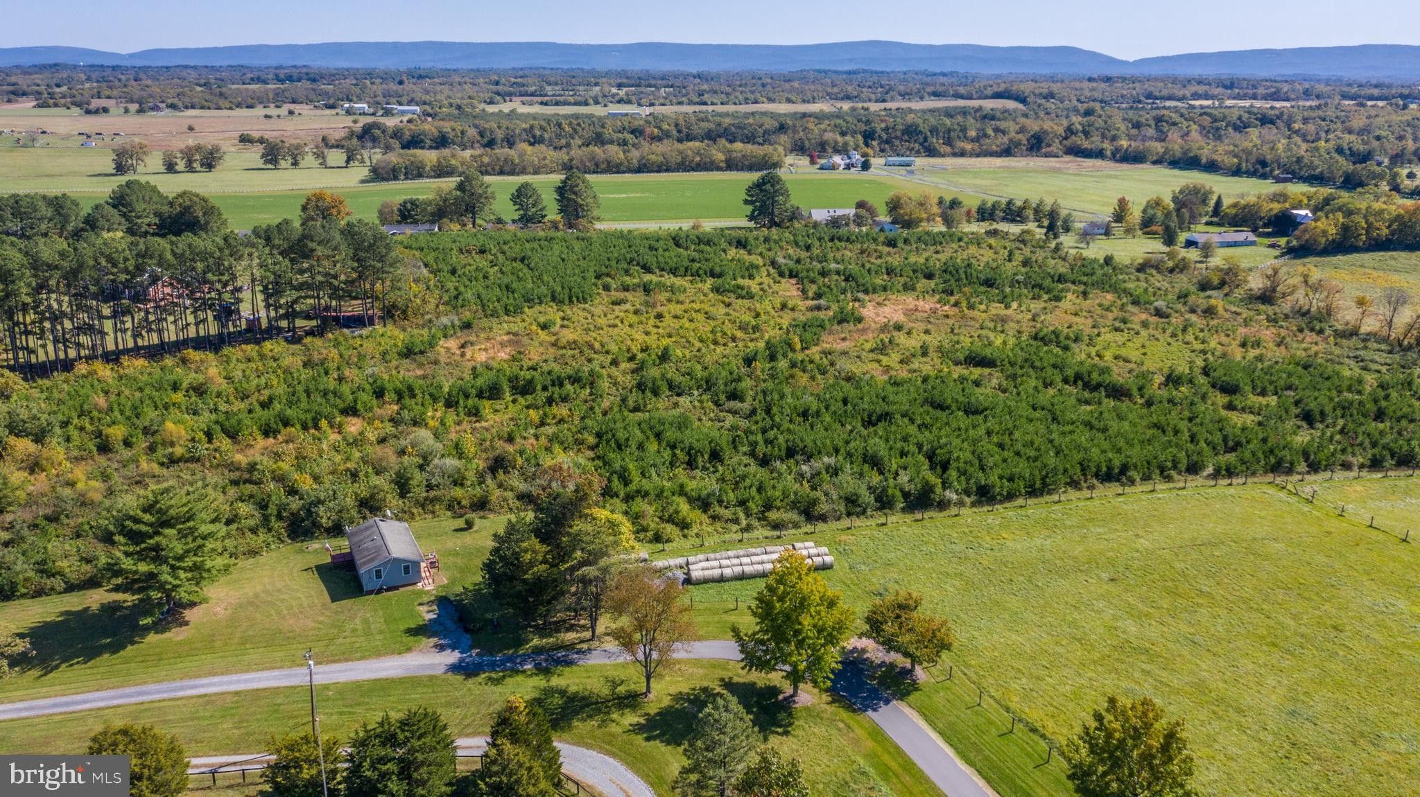 18.49 Acres, 5317 SENSENY ROAD, Berryville, VA 22611 Land and Farm