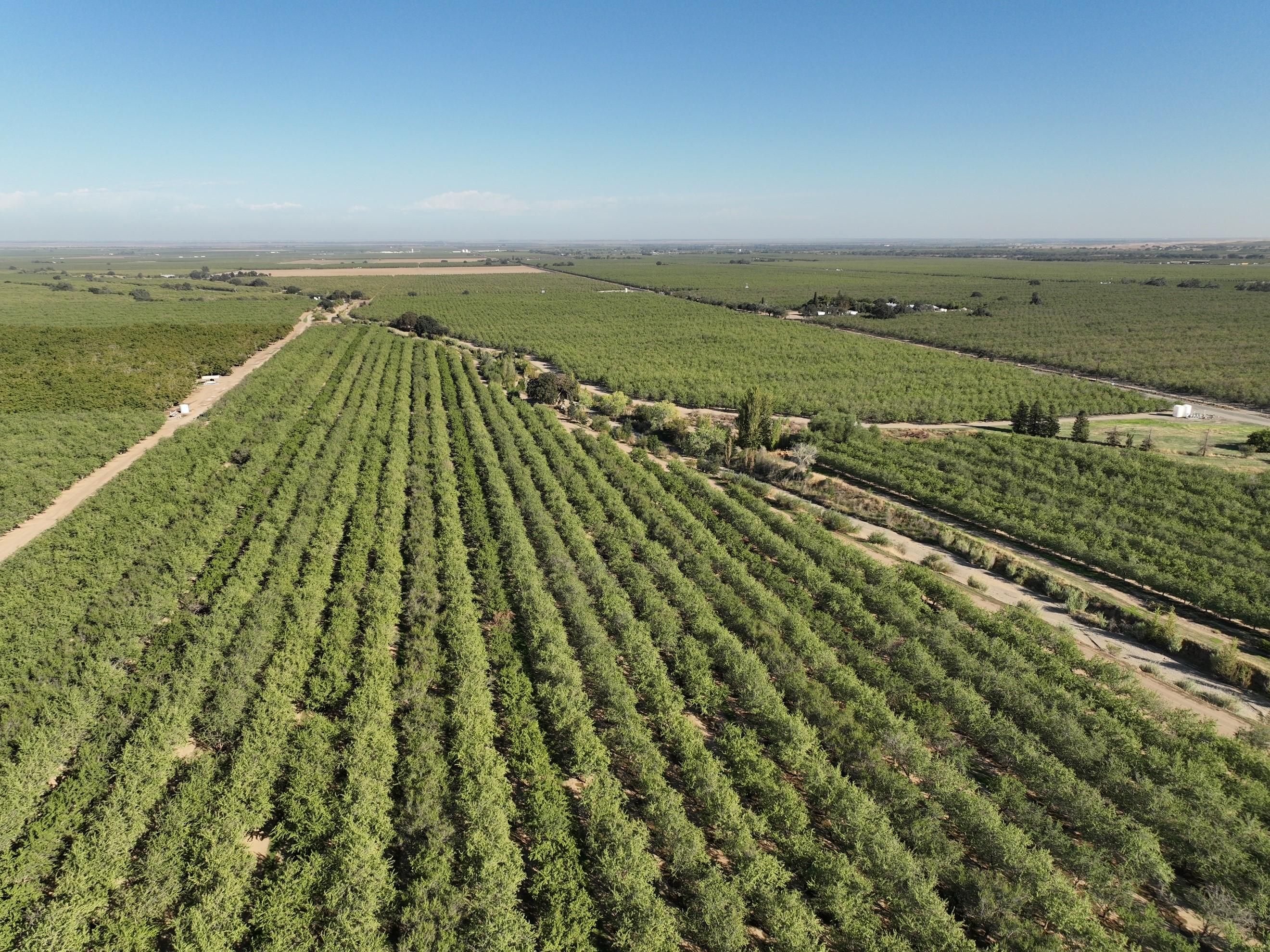 119.37 Acres, 1 Wildwood Road, Arbuckle, CA 95912 Land and Farm